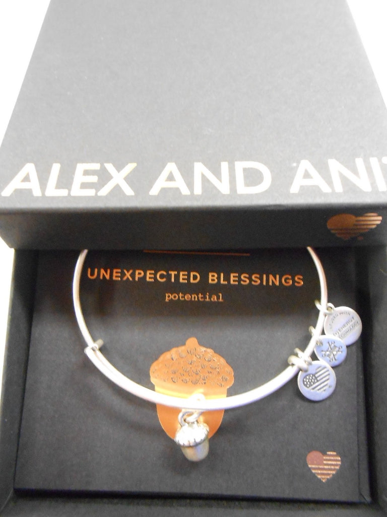 Alex and Ani UNEXPECTED BLESSINGS II Expandable Bracelet Rafaelian Silver NWTBC