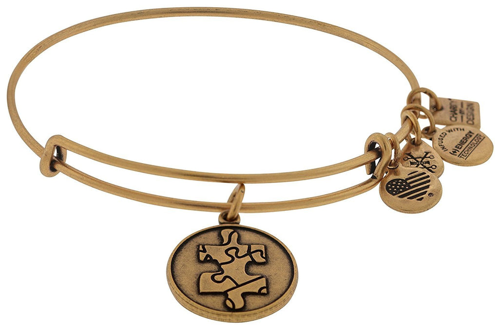 Alex and Ani Women's Piece Of The Puzzle Charm Bangle Rafaelian Gold Finish Bracelet
