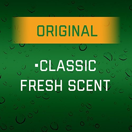 Irish Spring Signature 3 in 1 Body Wash