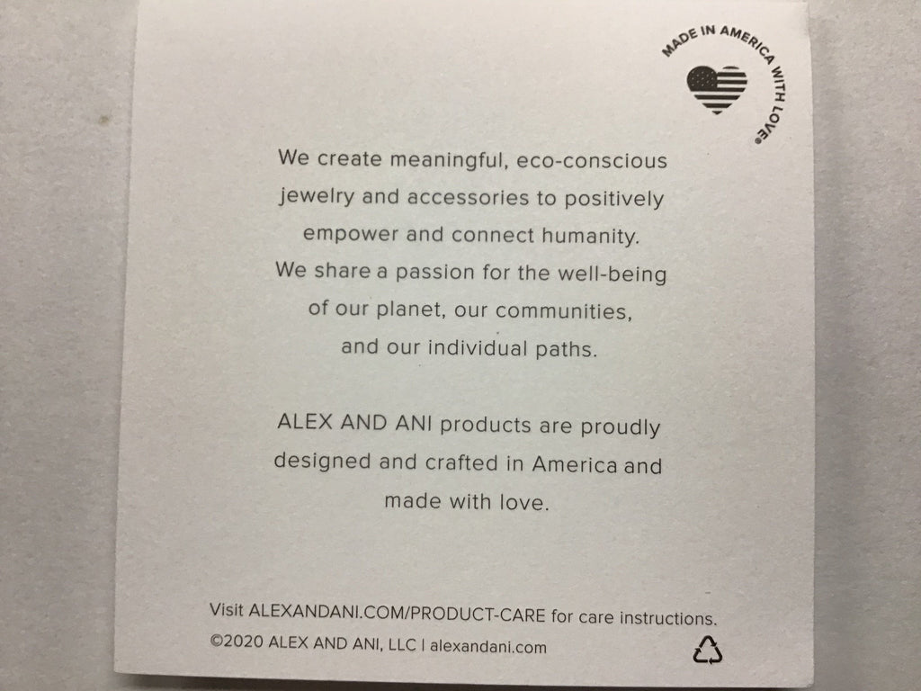 Alex and Ani Color Infusion, Pumpkin Spice II Bangle Bracelet Shiny Silver One Size