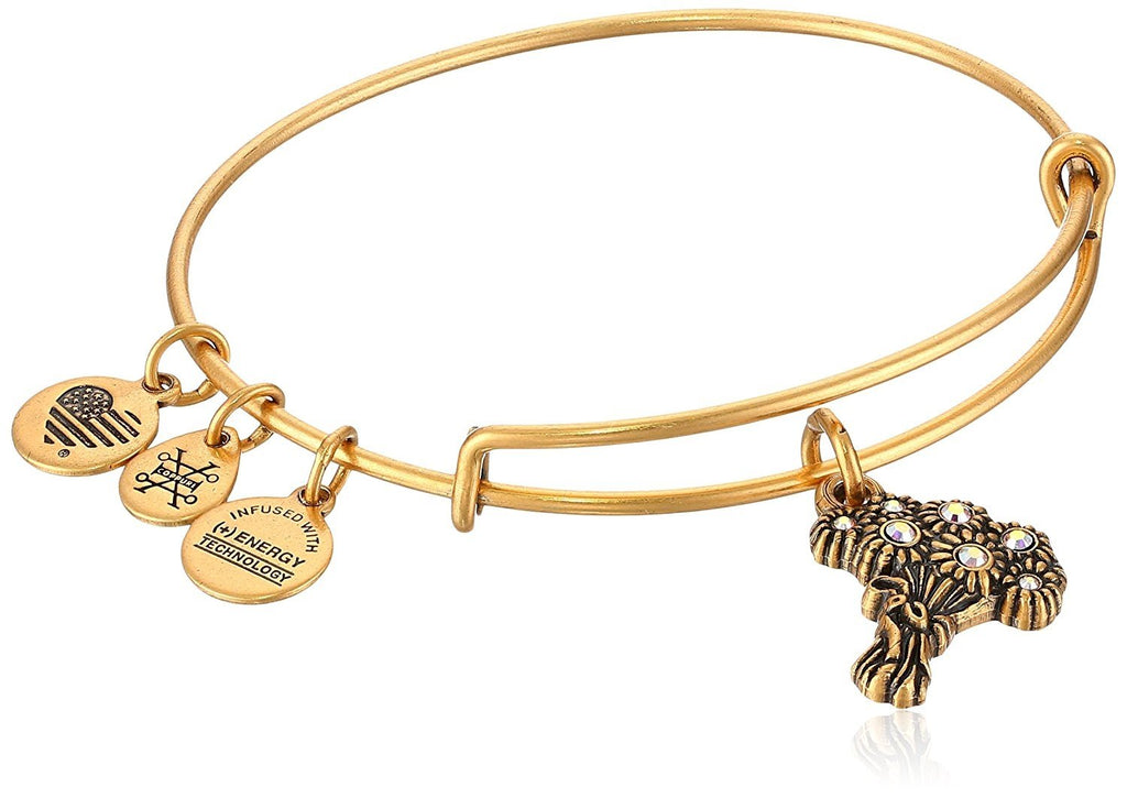 Alex and ANI Womens I Pick You EWB Bangle Bracelet, Expandable