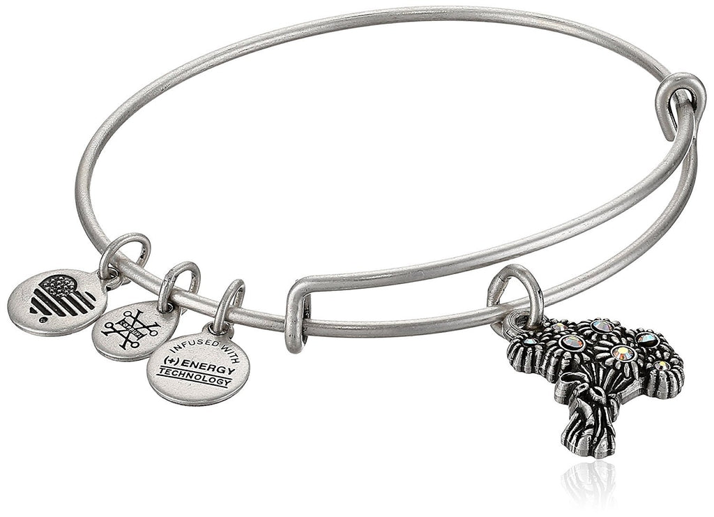 Alex and ANI Womens I Pick You EWB Bangle Bracelet, Expandable