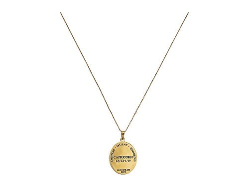 Alex and Ani Capricorn Celestial Wheel Expandable Necklace A15EN32YG