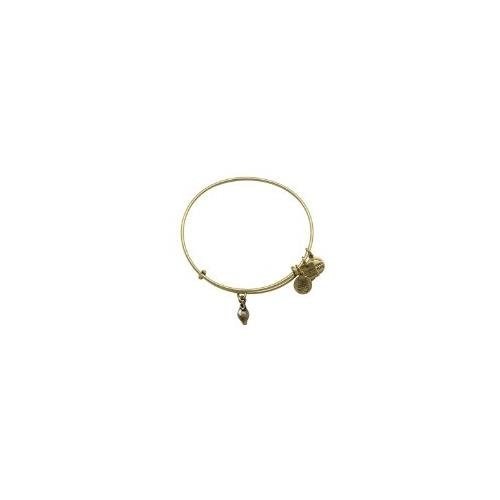 Alex and Ani Charity By Design Zest for Life Bangle Bracelet