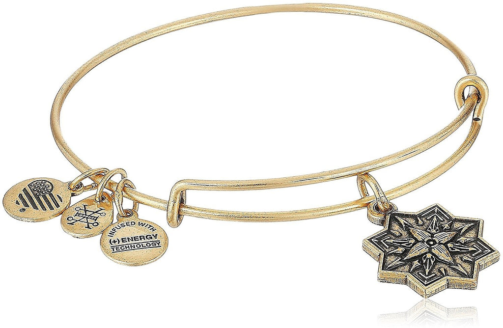 Alex and ANI Healing Love II Bangle Bracelet, Expandable