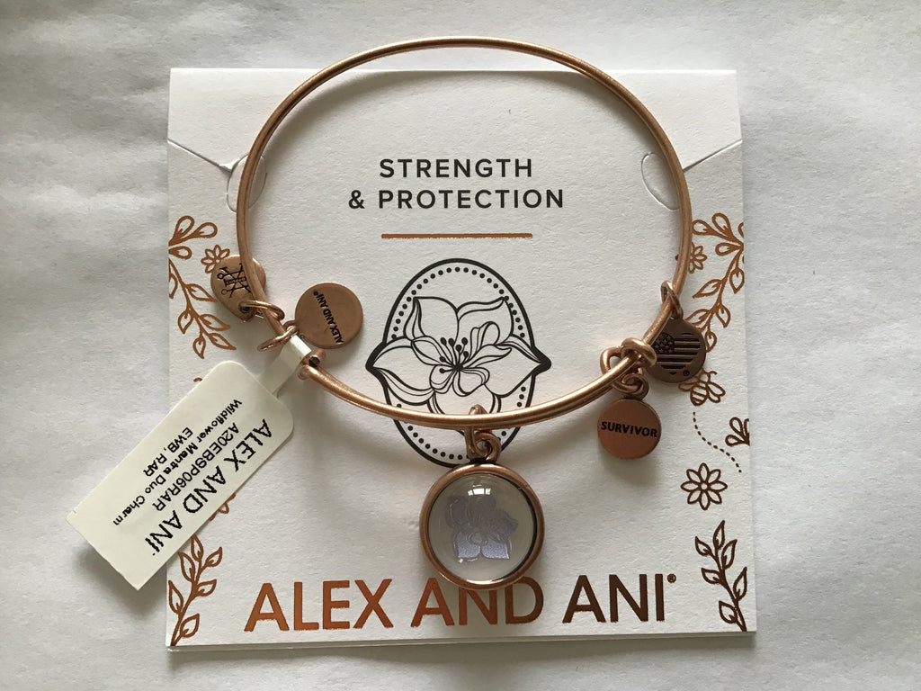 Alex and Ani Duo Charm Mantra Bangle Bracelet