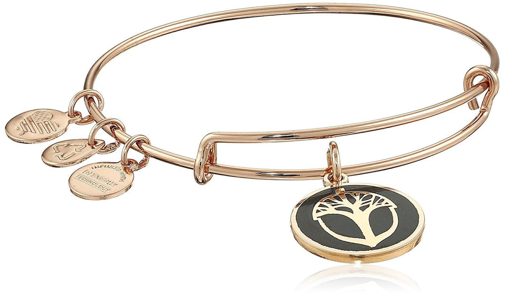 Alex and Ani Unexpected Miracles Color Infusion Bangle Bracelet