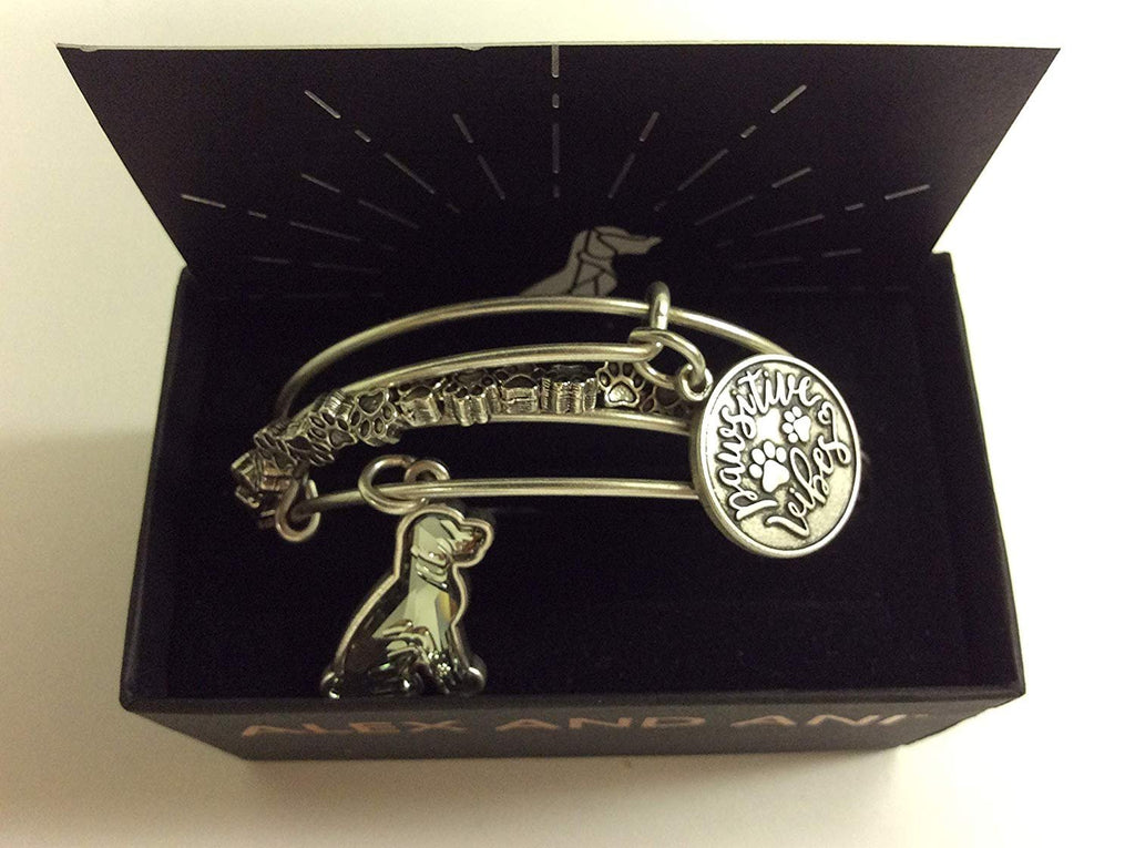 Alex and Ani Pawsitive Vibes Set of 3 Bangle Bracelet Rafaelian Silver Tag Box Card