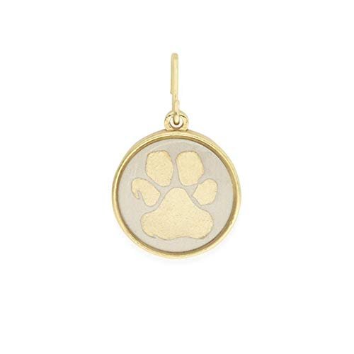 Alex and Ani Chain Station Two Tone Paw Print Charm