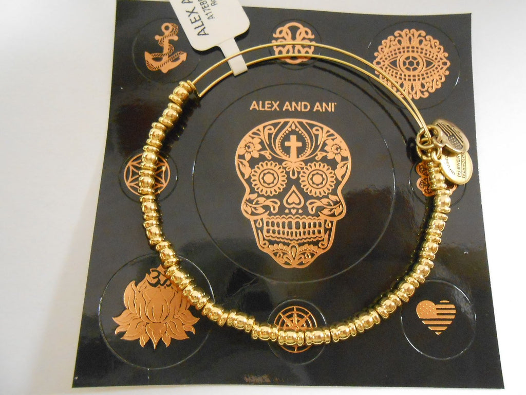 Alex and Ani Womens Rocker Bangle Bracelet