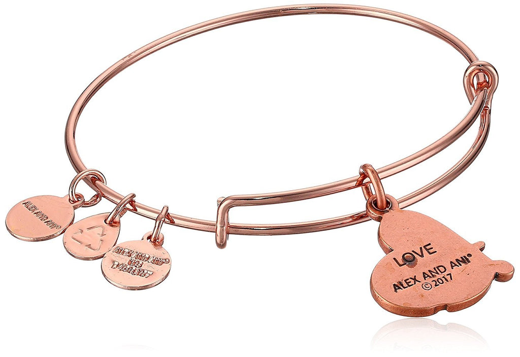 Alex and Ani Womens Path of Symbols - Love IV Charm Bangle