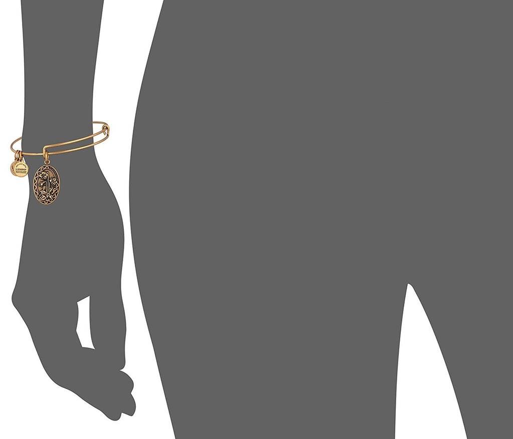 Alex and Ani Godmother Rafaelian Bangle Bracelet