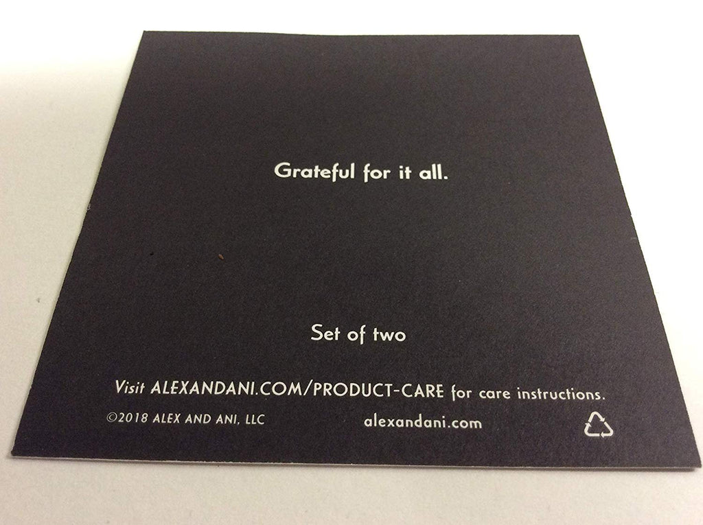 Alex and Ani Give Thanks Set of 2 Bangle Bracelet Rafaelian Silver Tag Box Card
