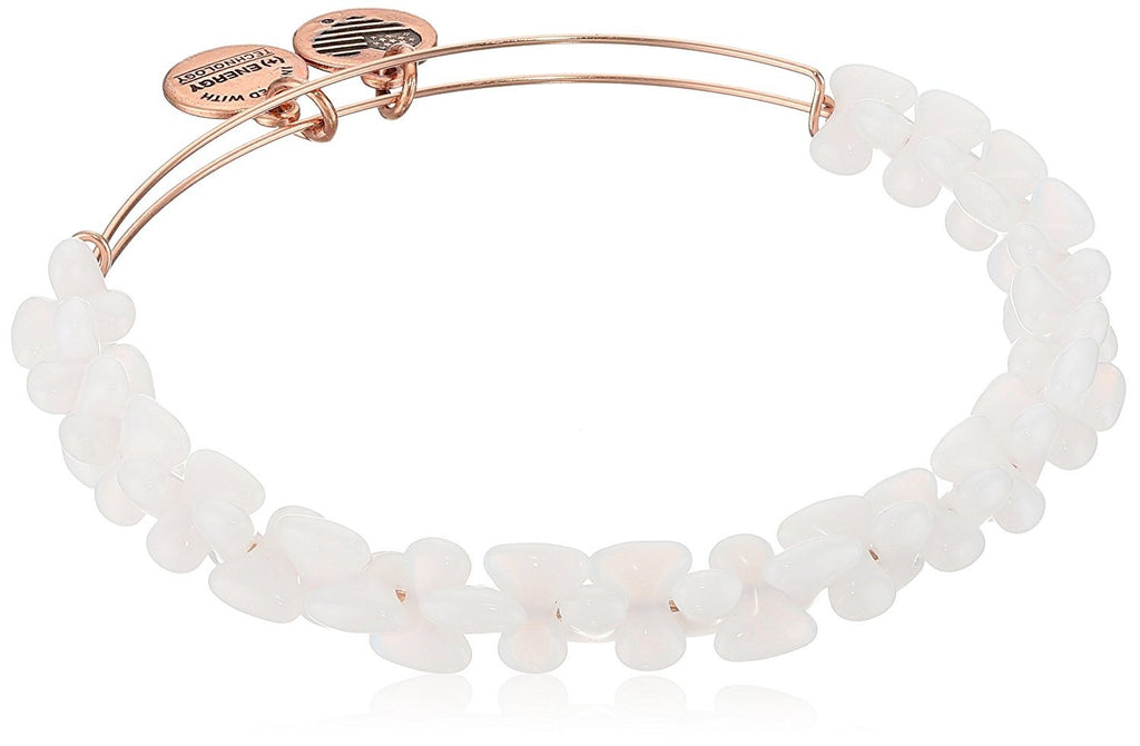 Alex and Ani Womens Boulder EWB, Robin Bangle Bracelet, Rafaelian Gold, Expandable