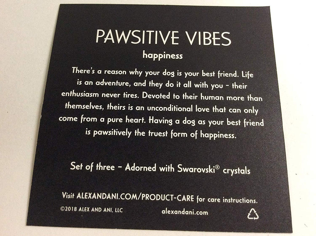 Alex and Ani Pawsitive Vibes Set of 3 Bangle Bracelet Rafaelian Silver Tag Box Card