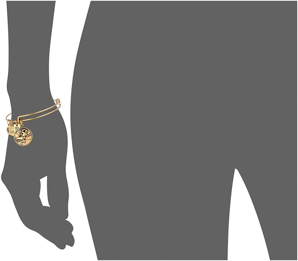 Alex and Ani Team USA Track and Field Expandable Bangle Bracelet