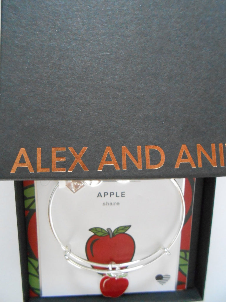 Alex and Ani Charity by Design, Apple EWB, Bangle Bracelet