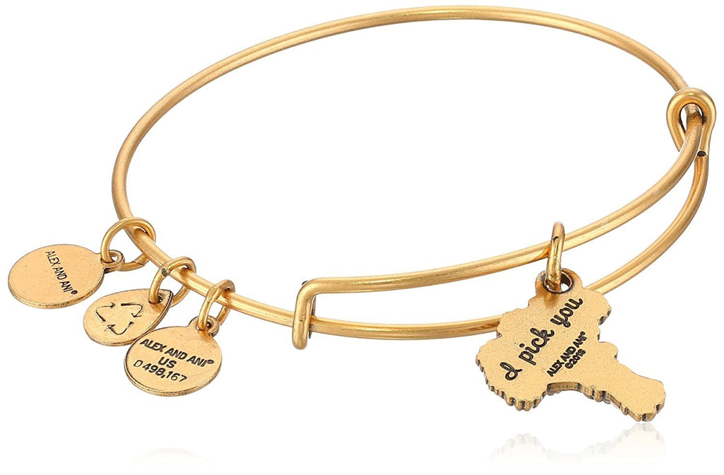 Alex and ANI Womens I Pick You EWB Bangle Bracelet, Expandable