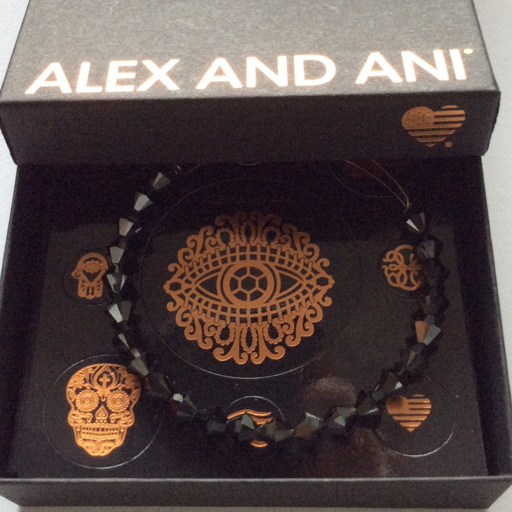 Alex and Ani Lunar Bangle Bracelet Midnight Silver Tag Box Card