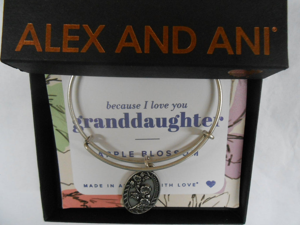 Alex and Ani Granddaughter Rafaelian Bangle Bracelet