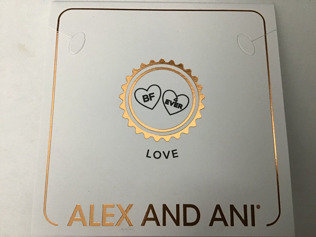 Alex and ANI Color Infusion Best Friends Duo Charm Bangle Bracelet Silver One Size
