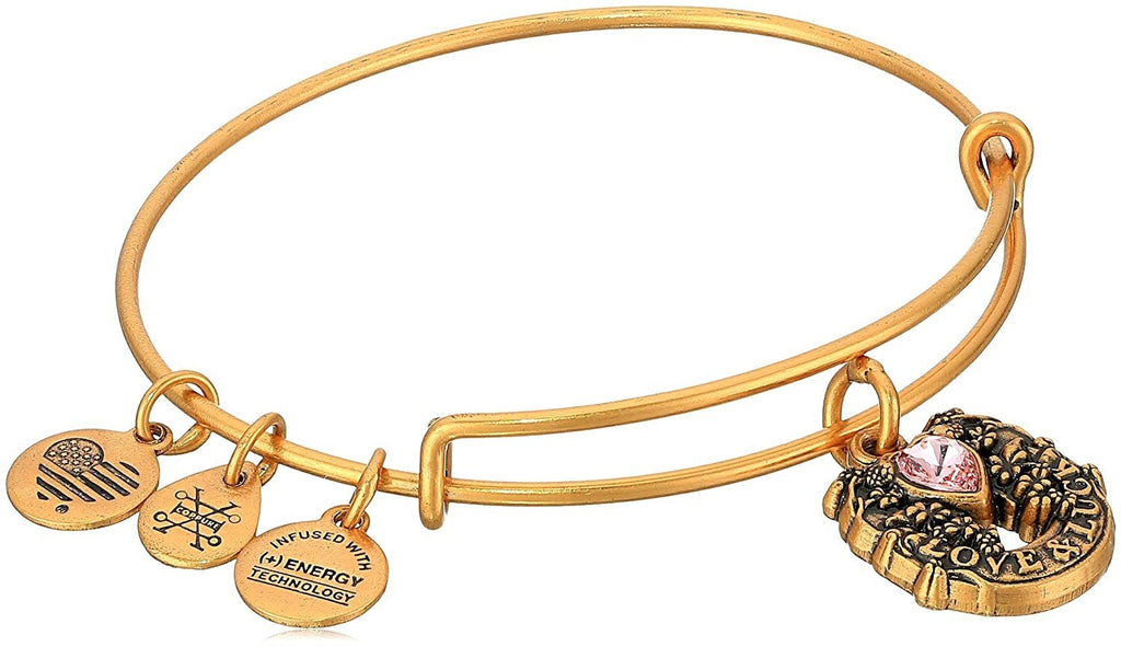 Alex and Ani Fortune's Favor Bangle Bracelet