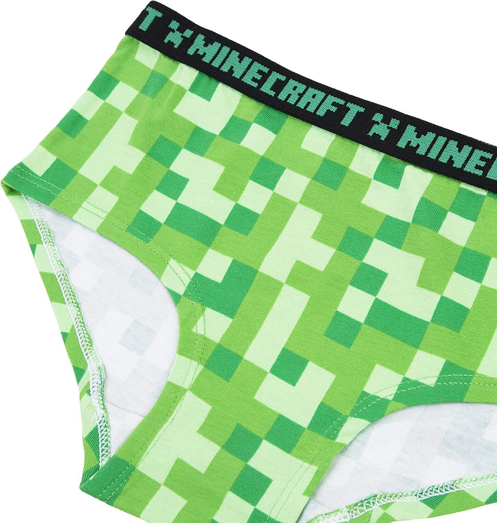 Minecraft Girls' Underwear Multipacks – sandstormusa