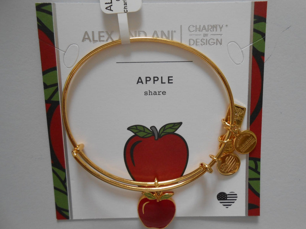 Alex and Ani Charity by Design, Apple EWB, Bangle Bracelet