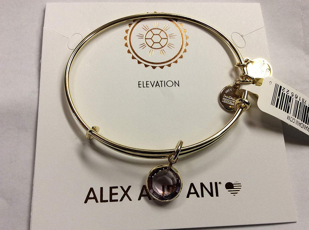 Alex and Ani June Color Code Amethyst Bangle Bracelet Shiny Gold NWTBC