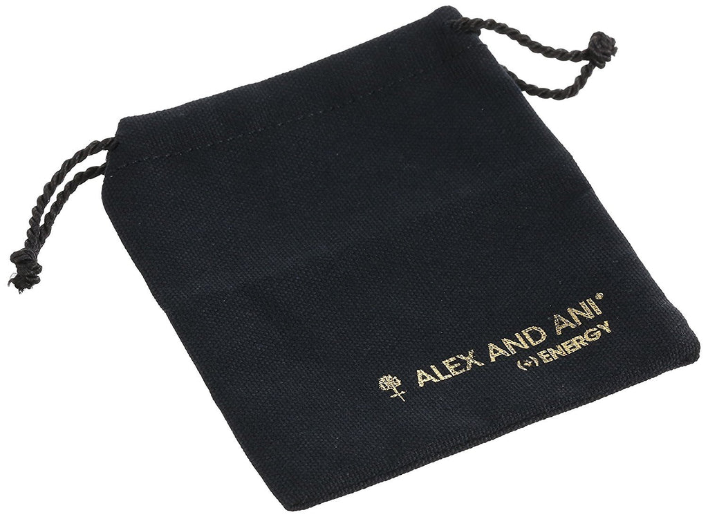 Alex and Ani Team USA Winter Sled Expandable Wire Bangle Bracelet