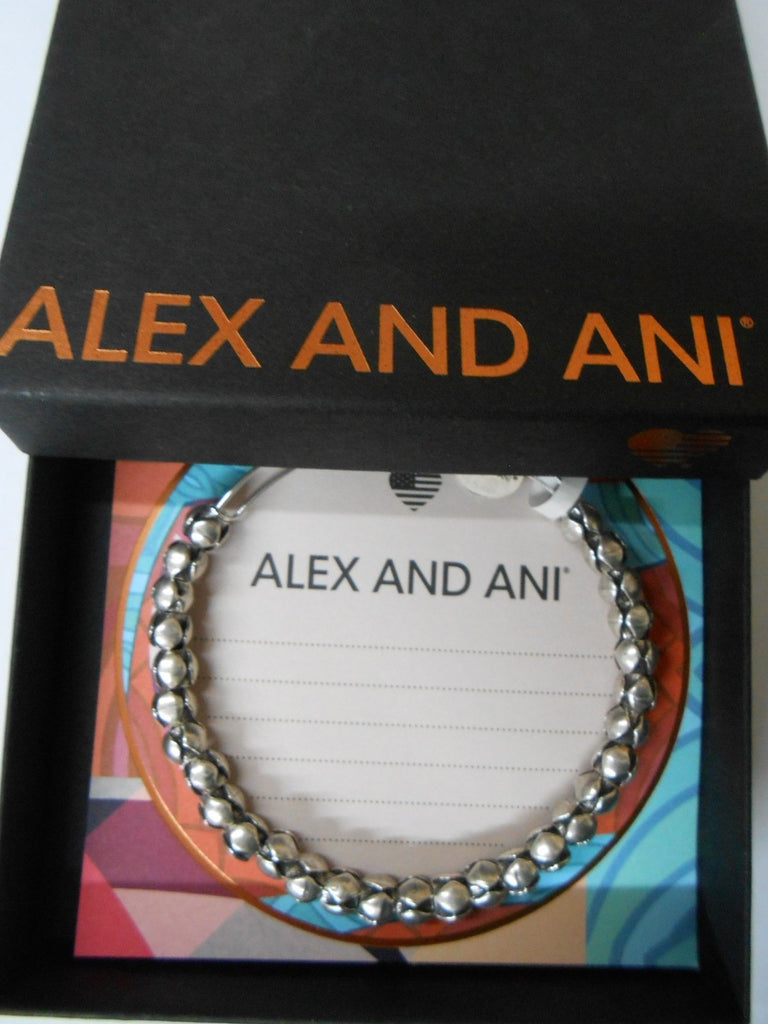 Alex and Ani Traveler Bracelet