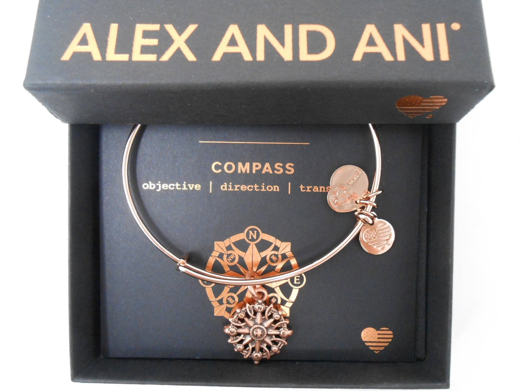 Alex and ANI Compass III Bangle Bracelet