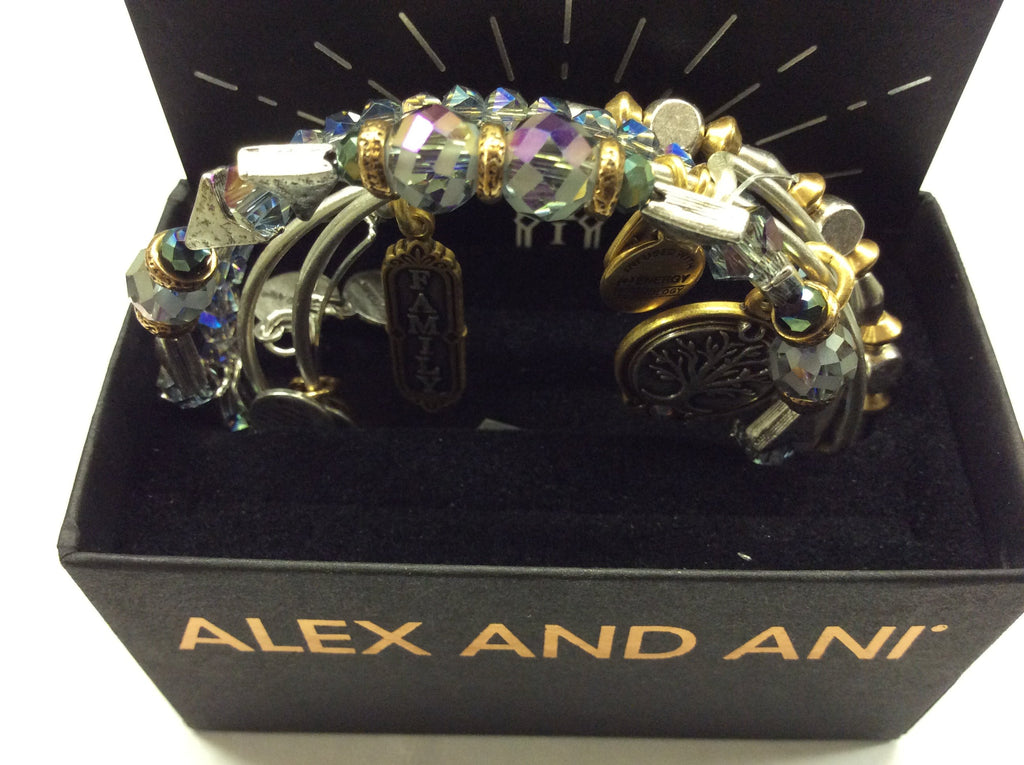 Alex and Ani Womens Family Bangles Set of 5