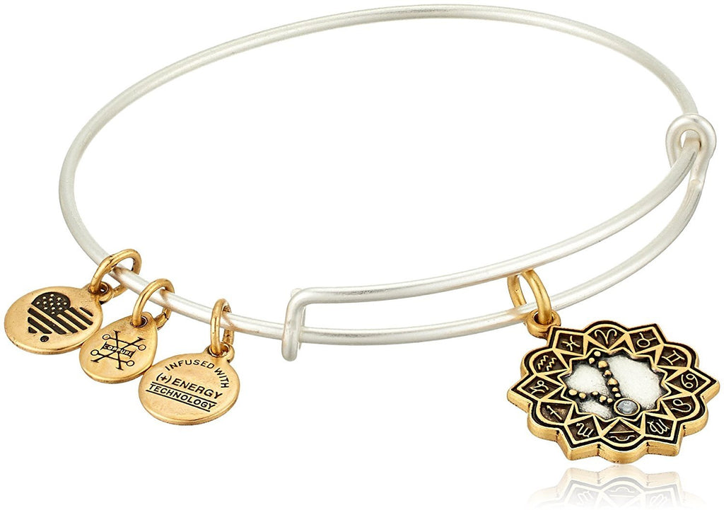 Alex and Ani Pisces Two Tone Bangle Bracelet NWTBC