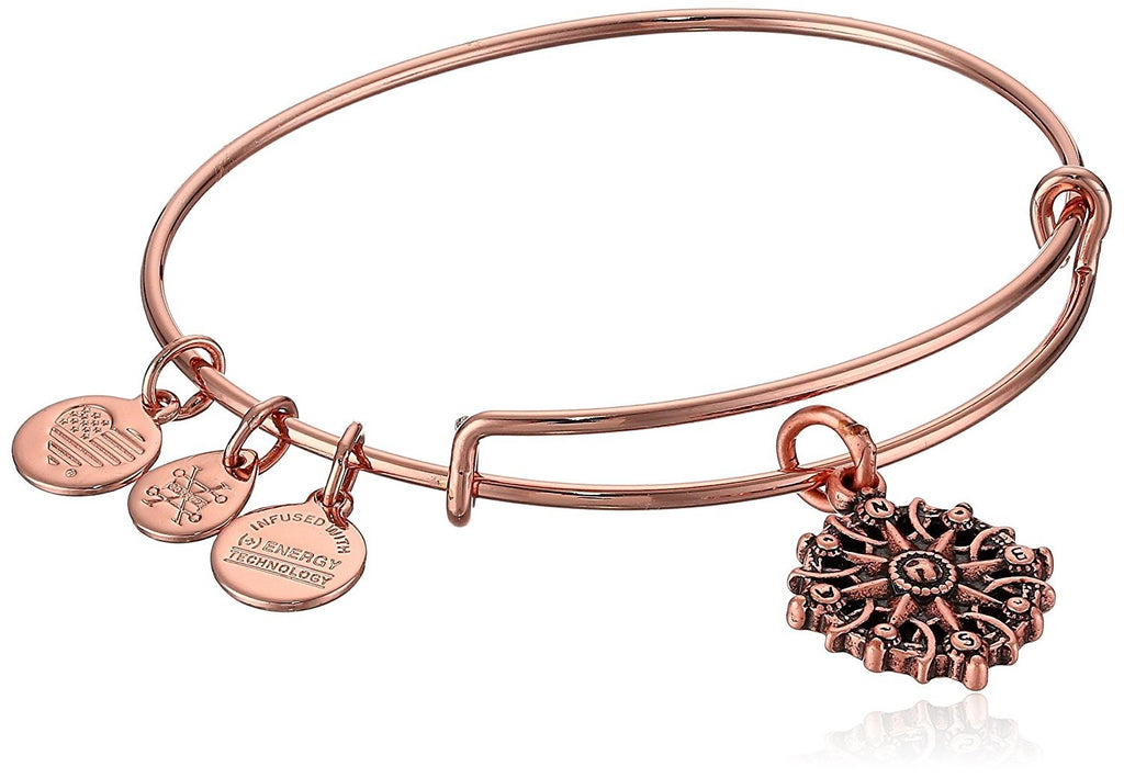 Alex and ANI Compass III Bangle Bracelet